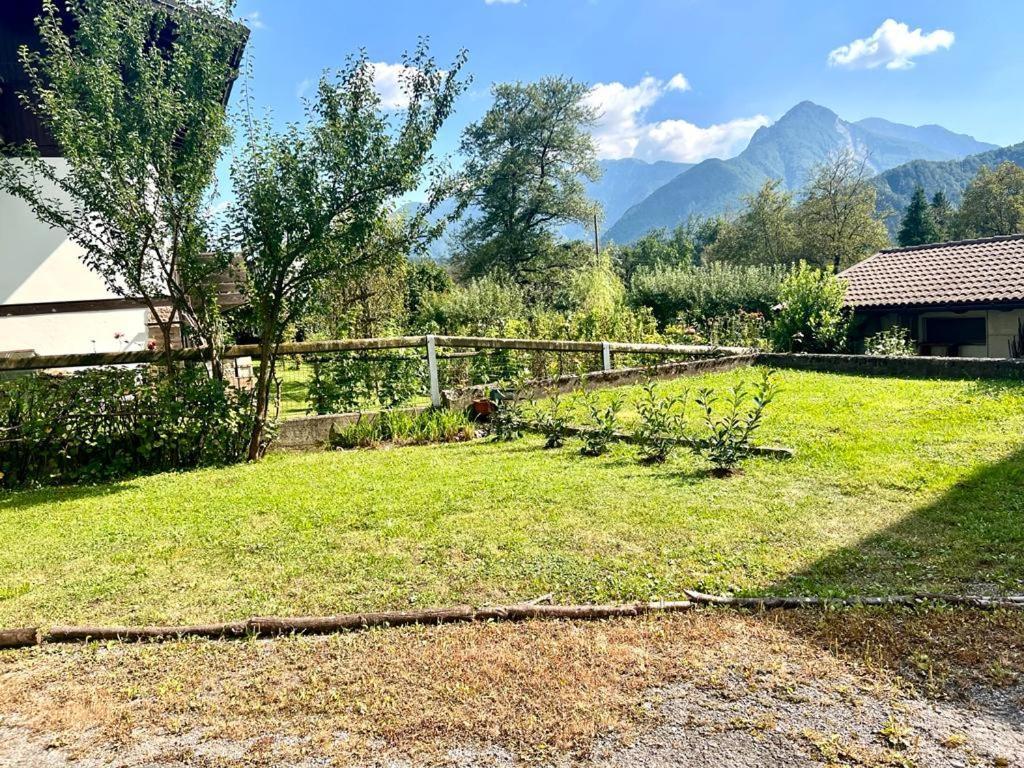 Casa Pura Appartement Ampezzo Buitenkant foto